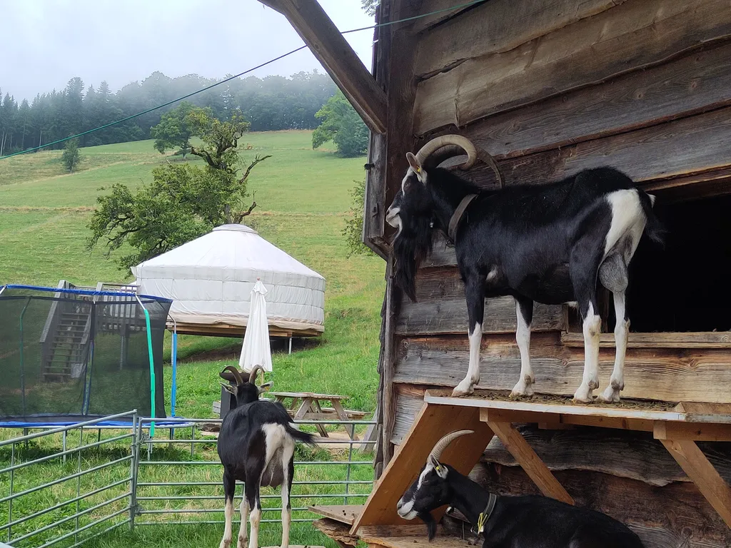 Bild von Anna für den Spot 872