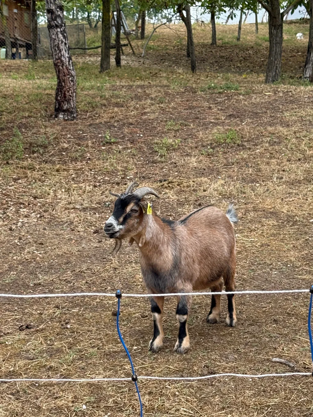 Bild von Claudia für den Spot 4297