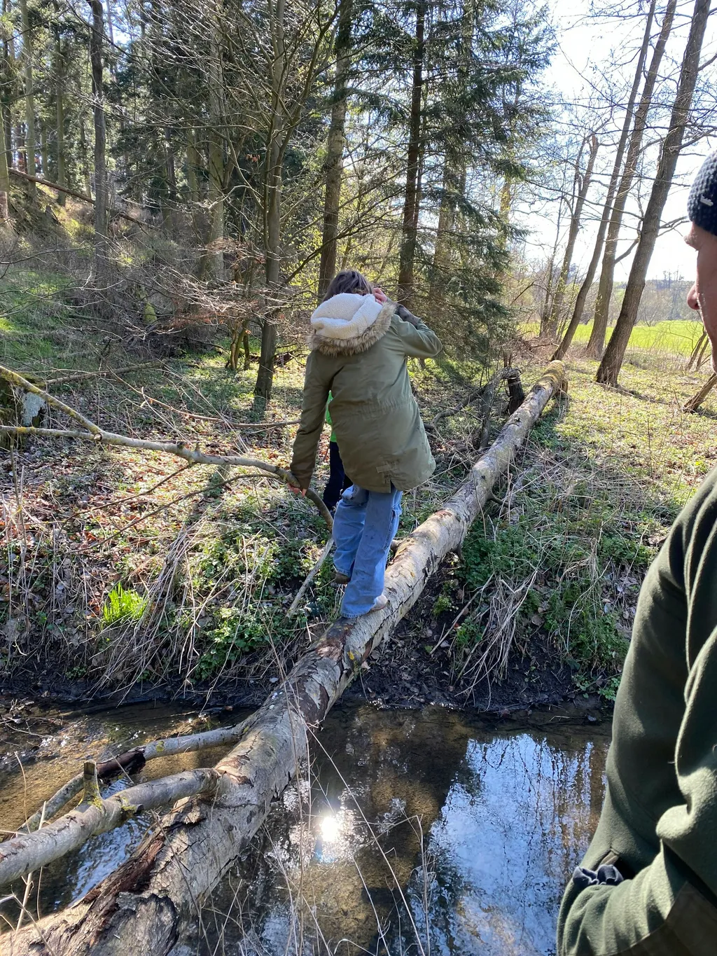 Ruhiges Plätzchen am Waldrand