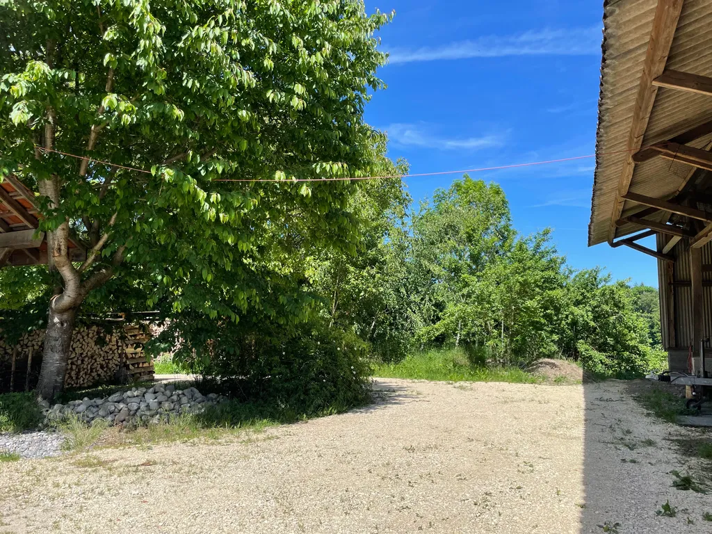Nomady-Stellplatz (hinter dem Rosenbusch)