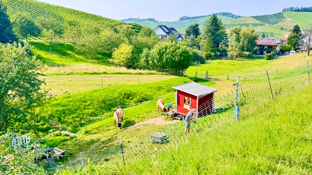 Bild von Claudia für den Spot 1586