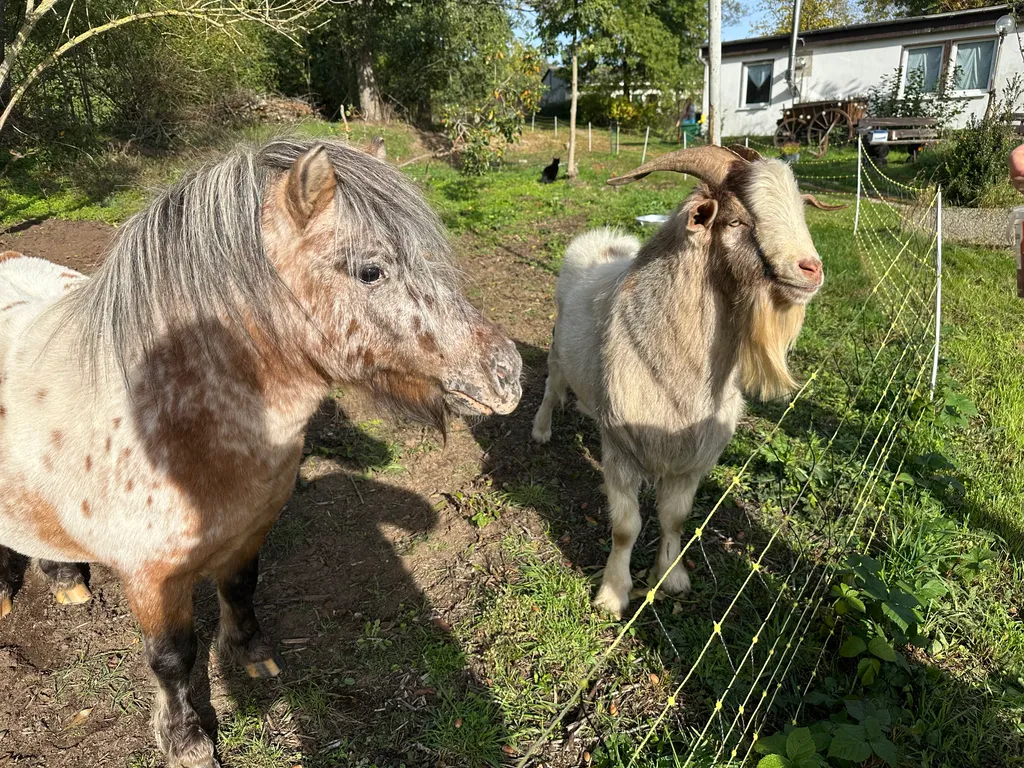 Bild von Stefan für den Spot 4454
