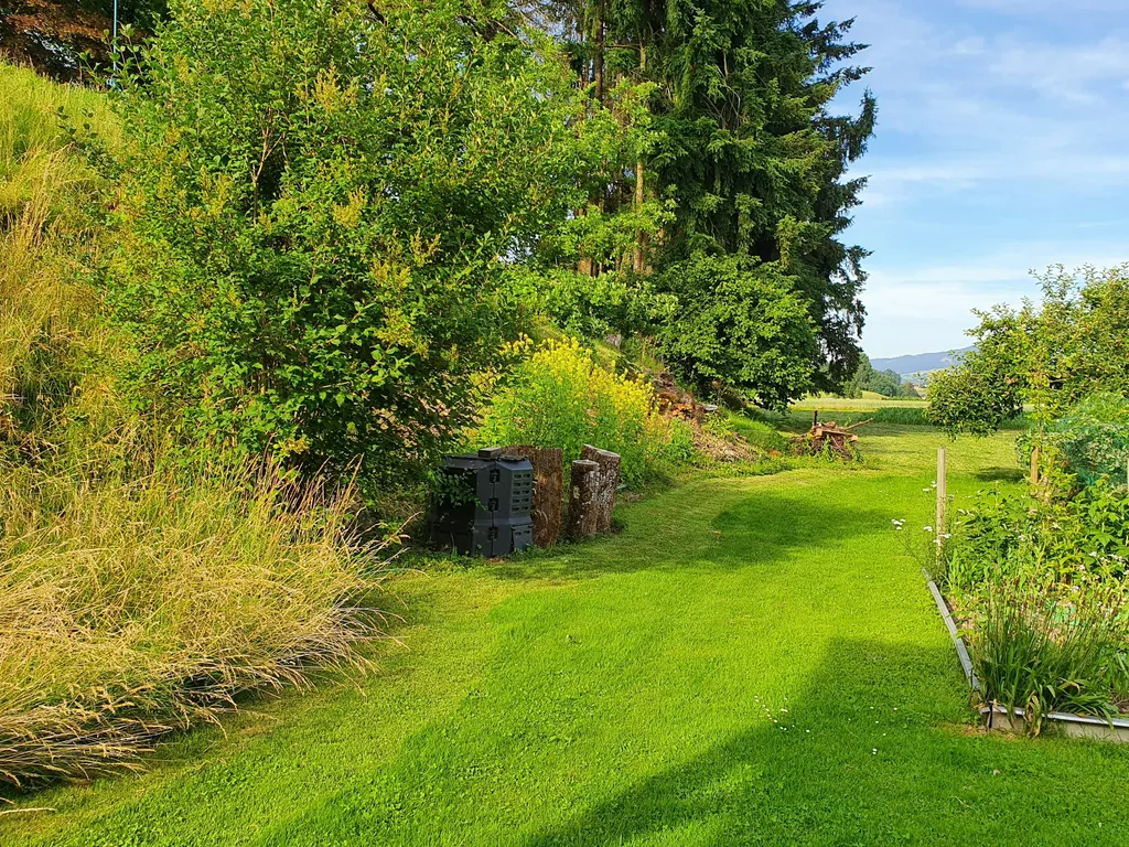 Zelten auf dem Bühl