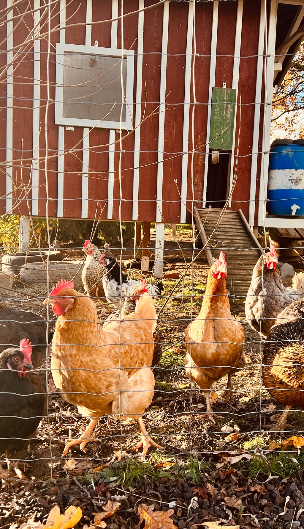 Immagine di Seungjin per lo spot 3024