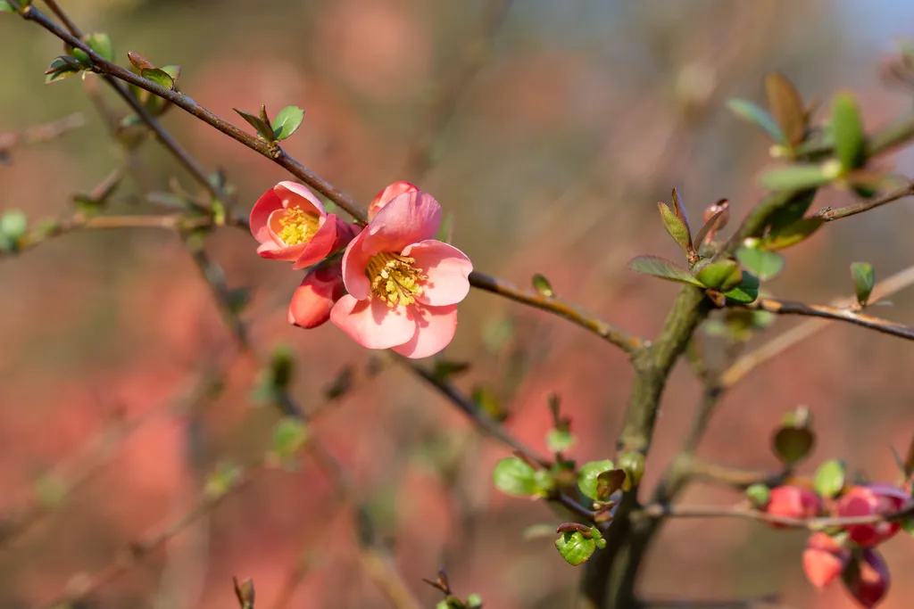 Bild von Gregor für den Spot 1541