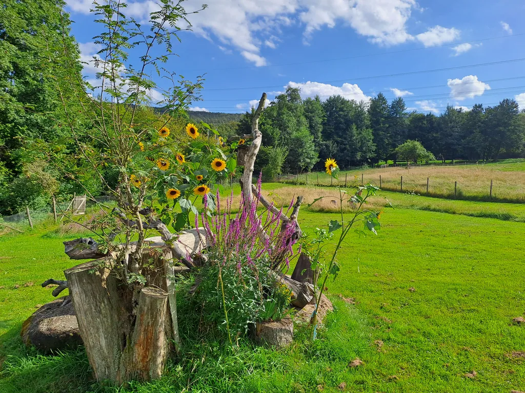 Am Blockhaus Wolfswiese