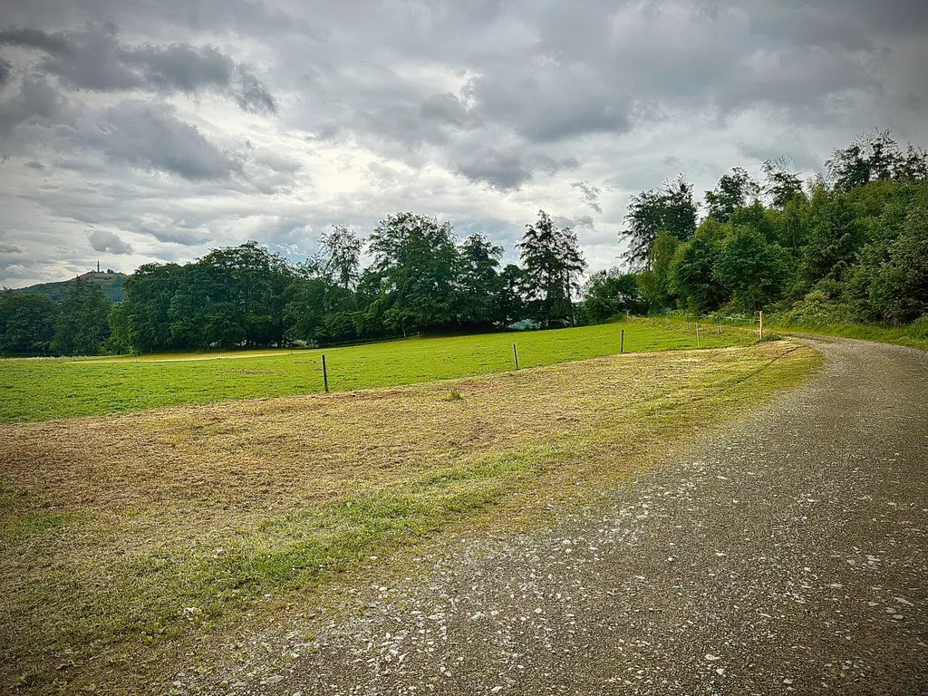 Natur pur im Pferdeparadies