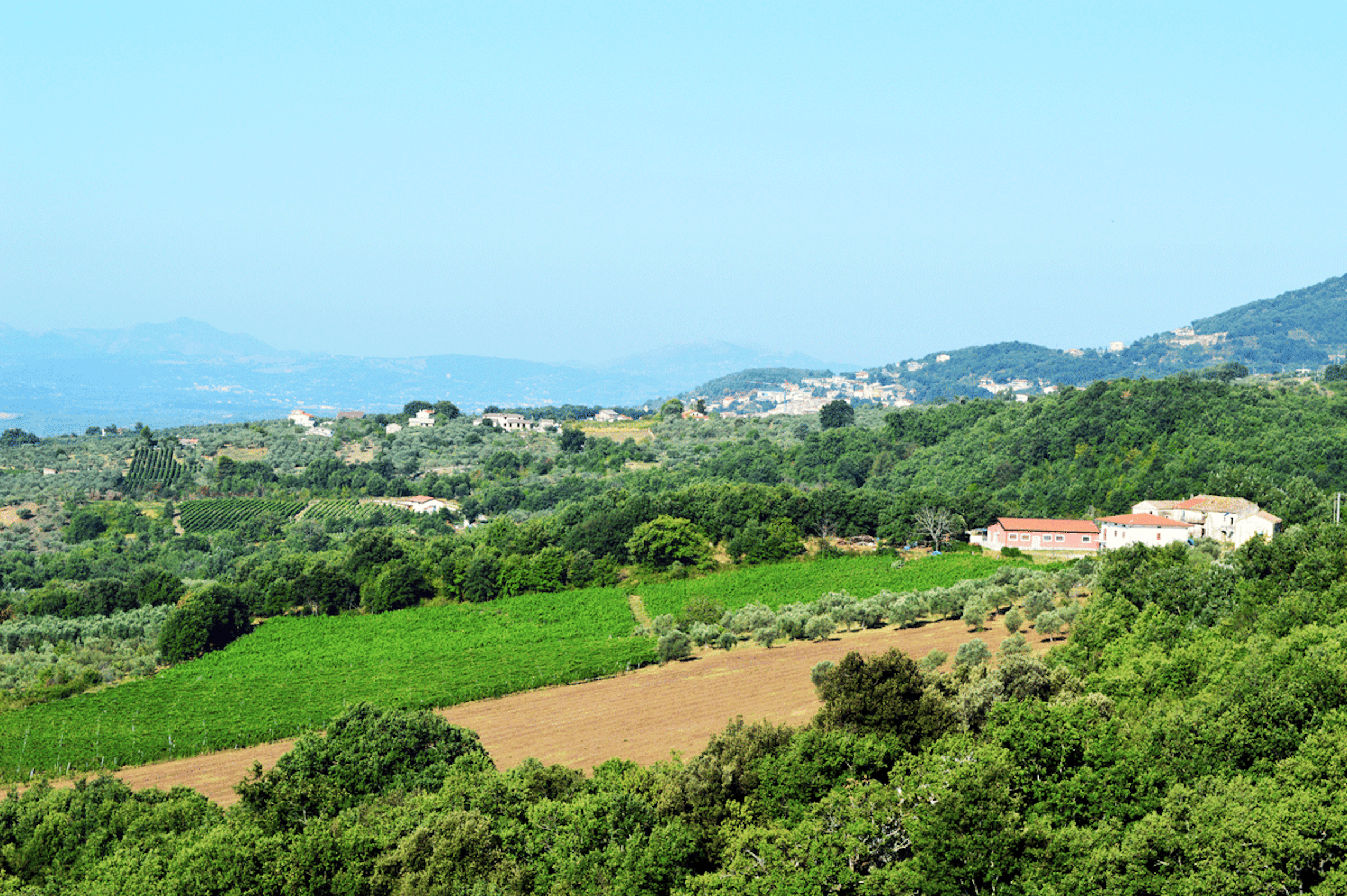 Camp Fosso degli Angeli