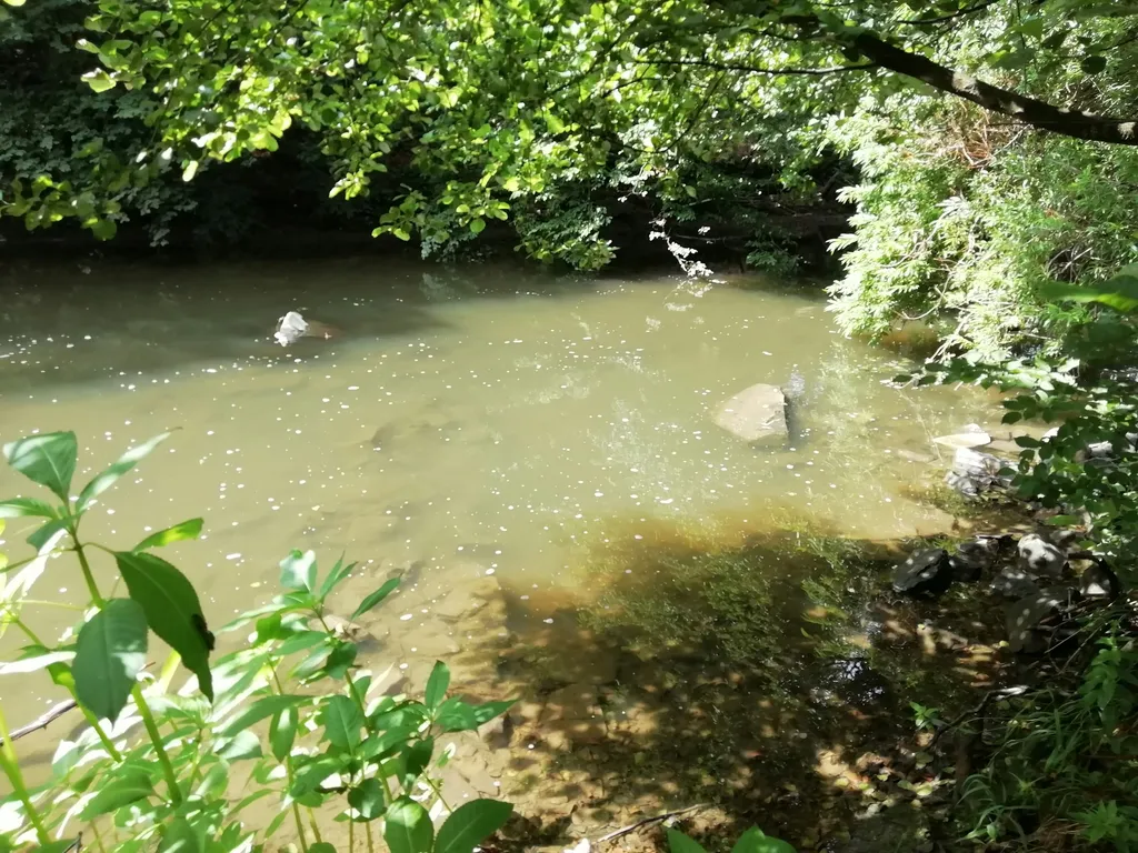 Aus- und umgebauter Bauwagen