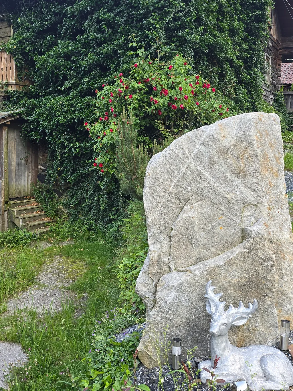 Auszeit auf der Wildtier-Alm