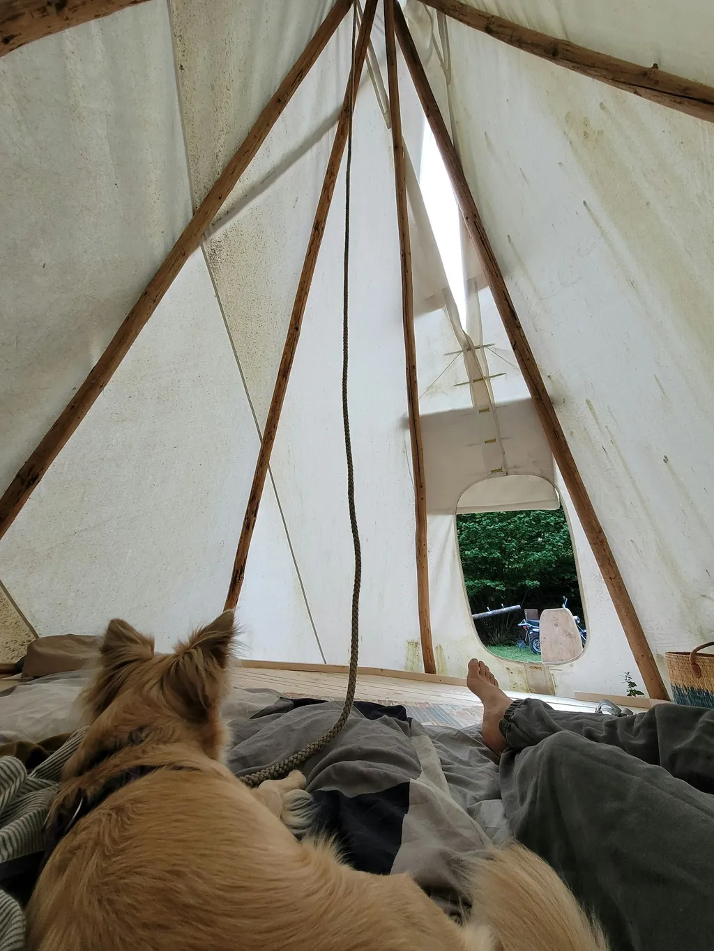 Tipizelt am Schwarzwaldhof