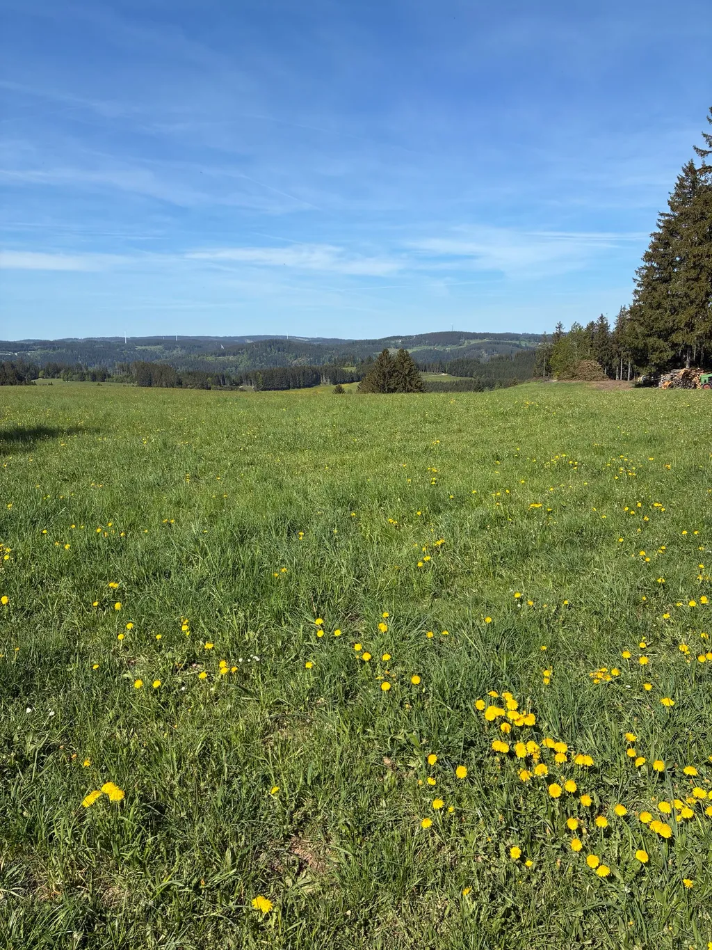 Alleine für Dich mit Schwarzwald-Panorama