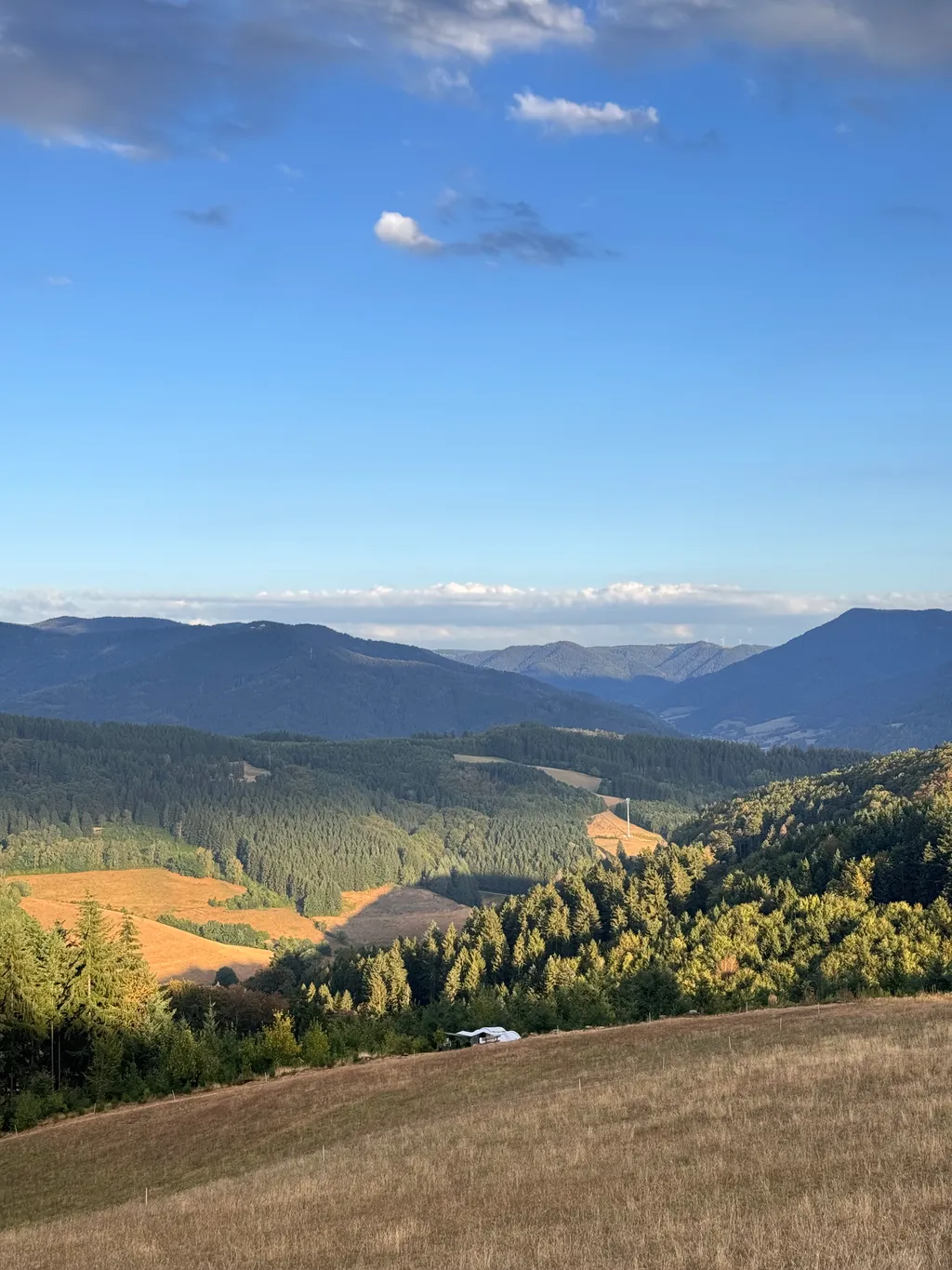 Bild von Xenia für den Spot 1579