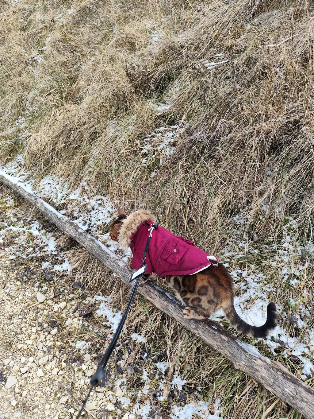 Bild von Jennifer für den Spot 1663