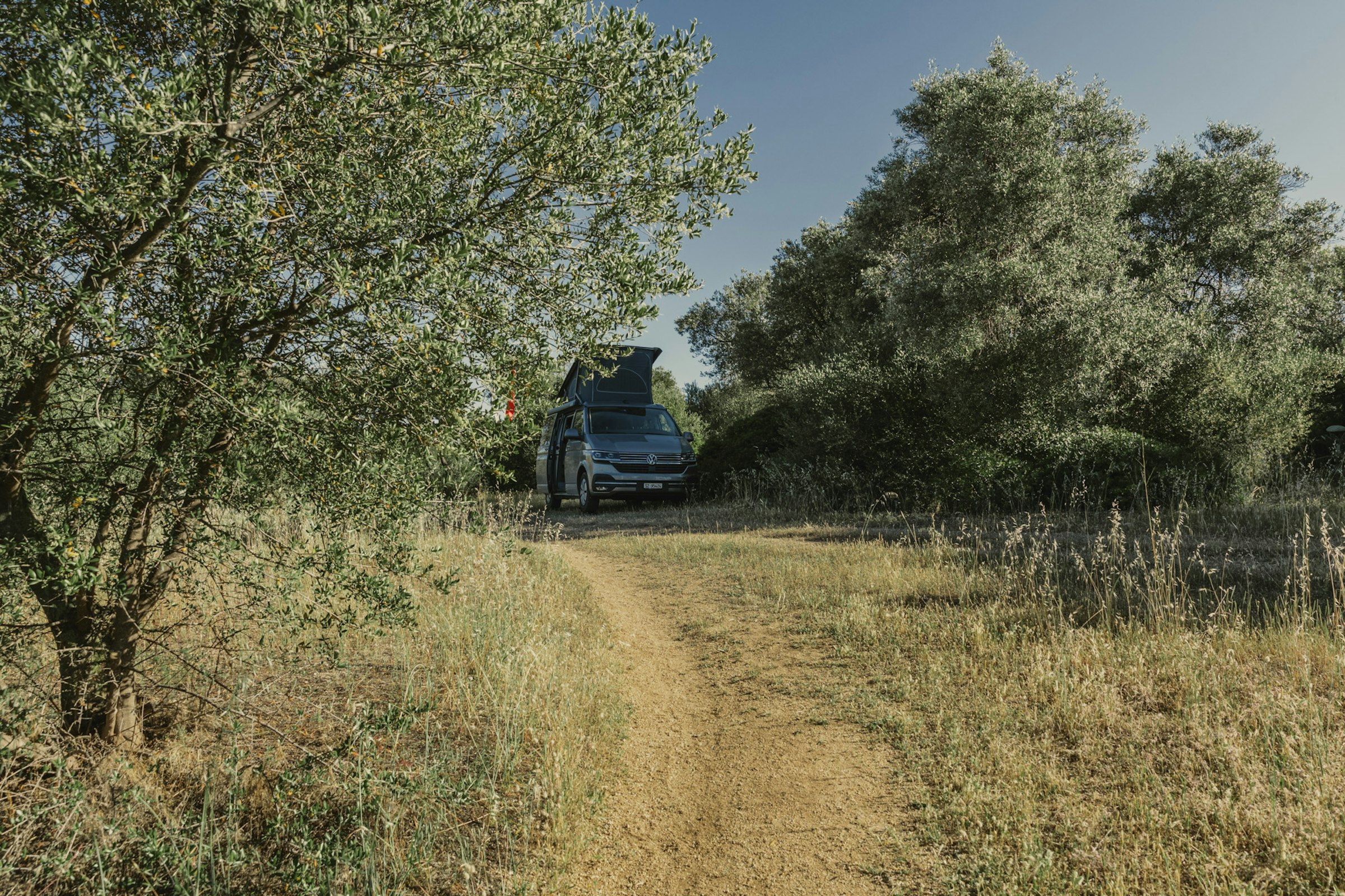 Camp Officina Equestre