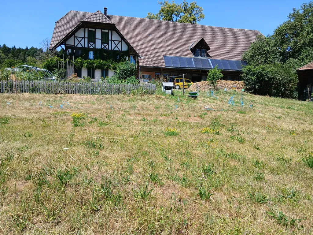 Zelten mit Bergsicht auf Biohof Lochholz