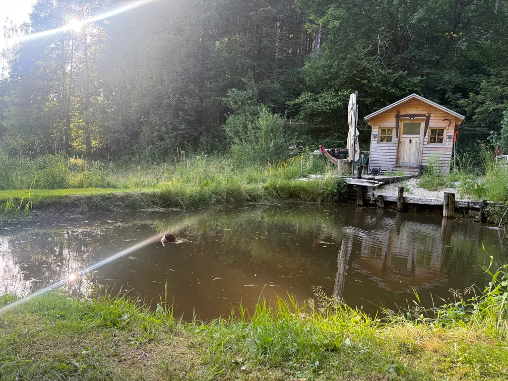 Bild von Thomas für den Spot 3638