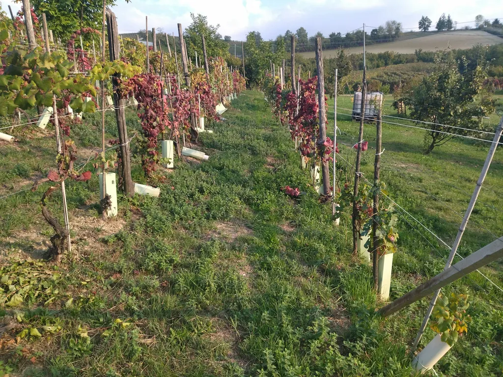 Langhe e dintorni