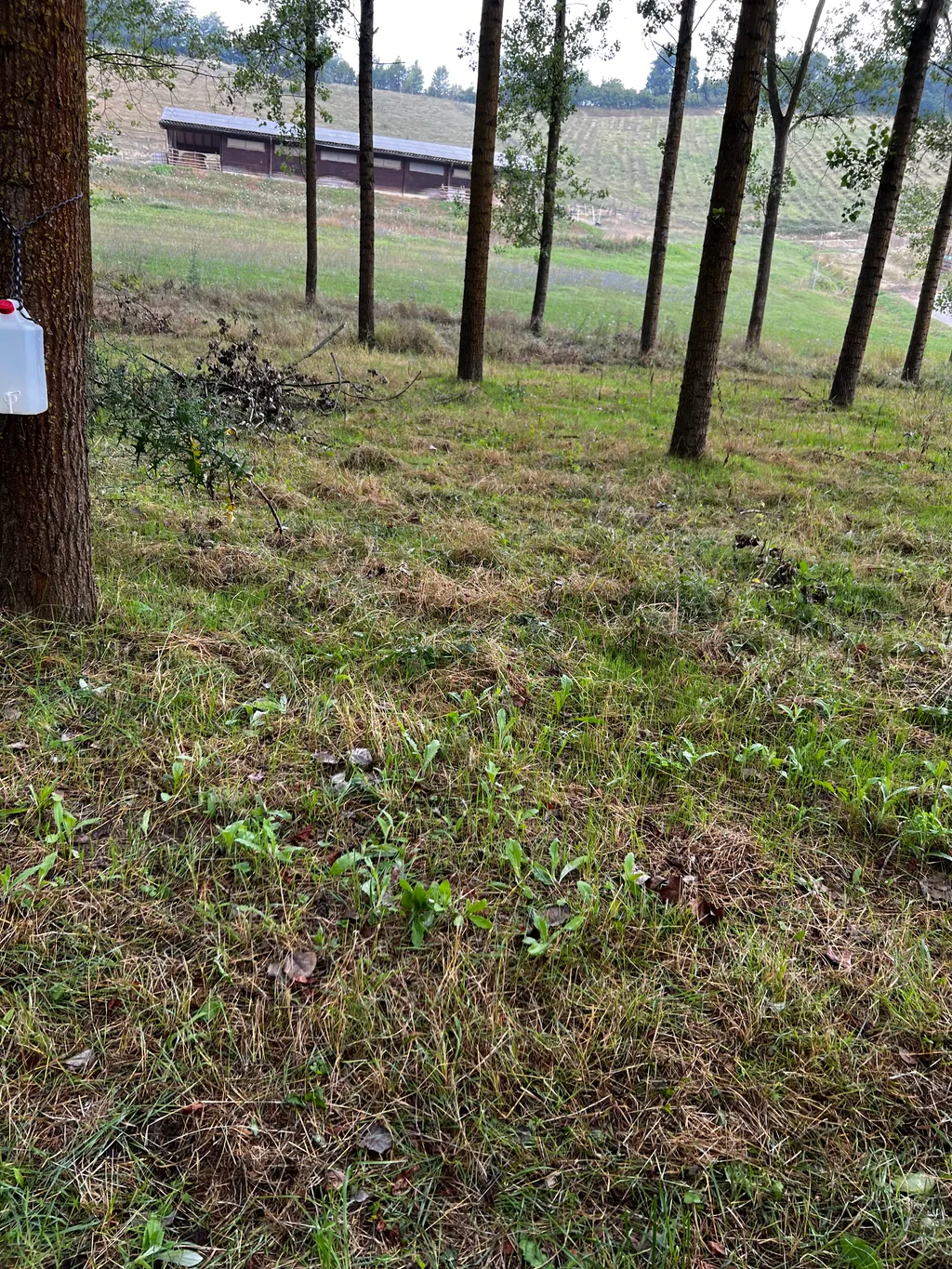 Bild von Bajko für den Spot 726