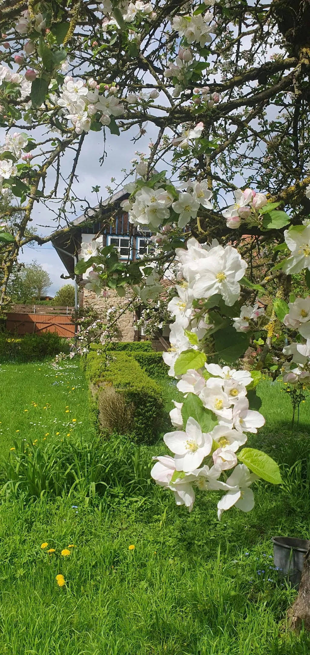 Naturwiese mit Saunaangebot