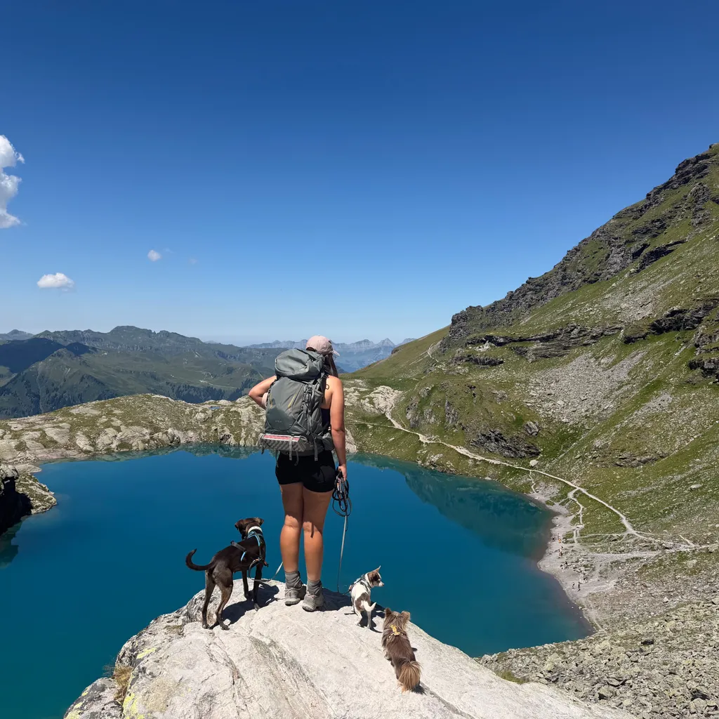 Photo de profil de Jacinta