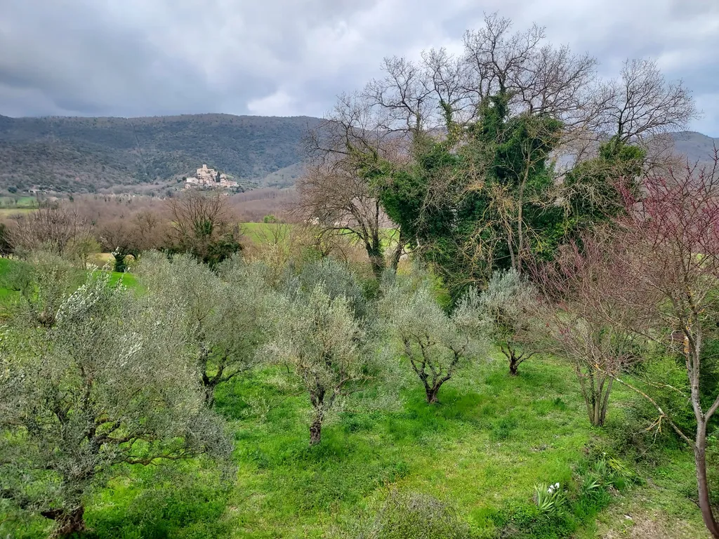 UMBRIA VERDE