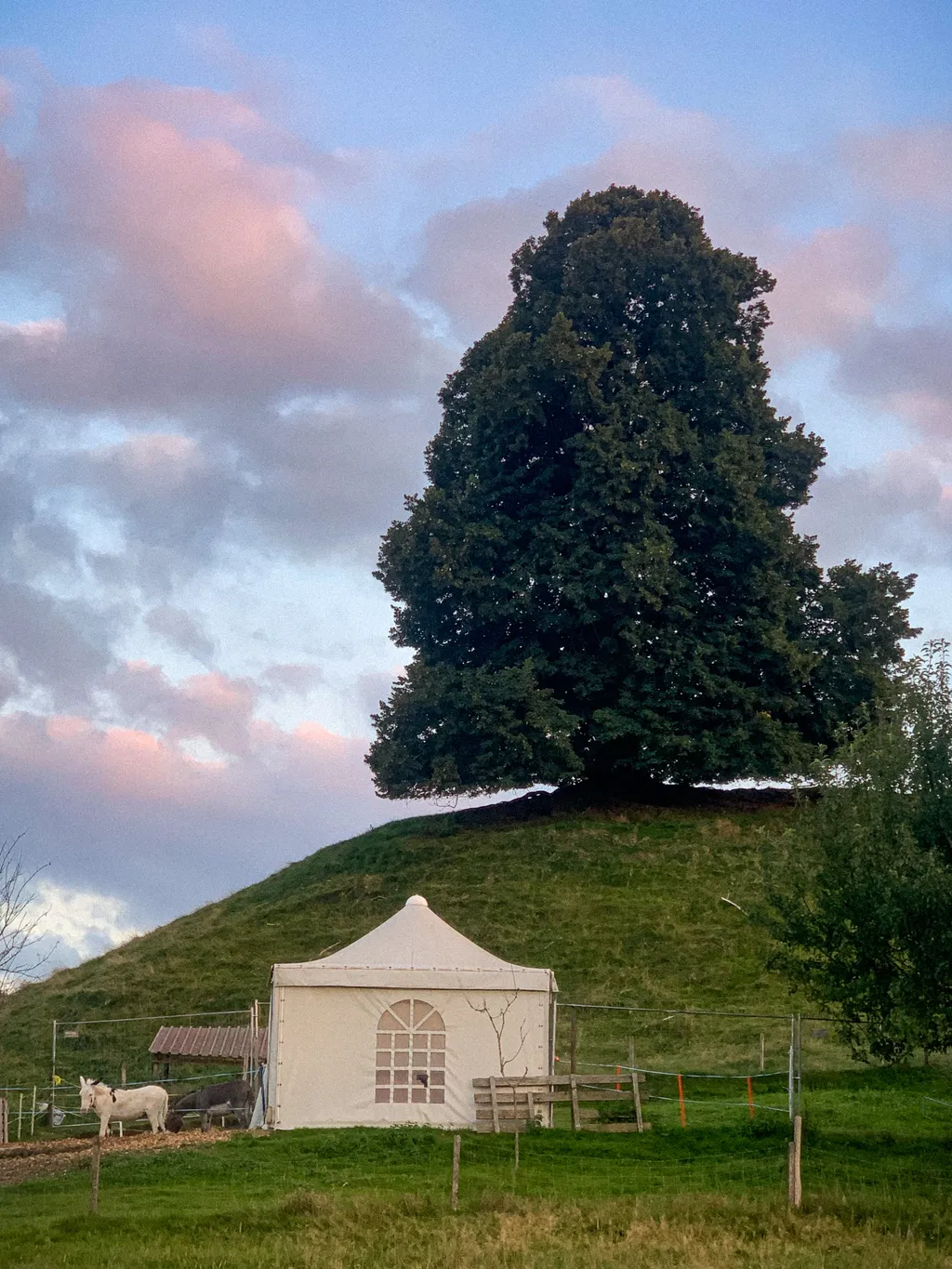 Image by Frederik for spot 257