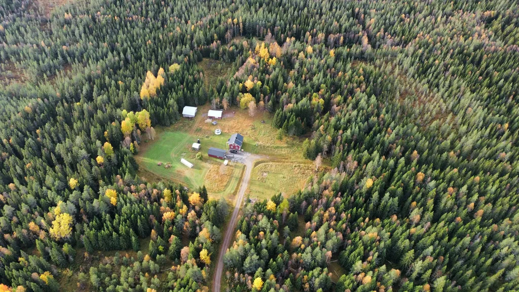 WTF Camp - Stellplätze in Schwedisch Lappland