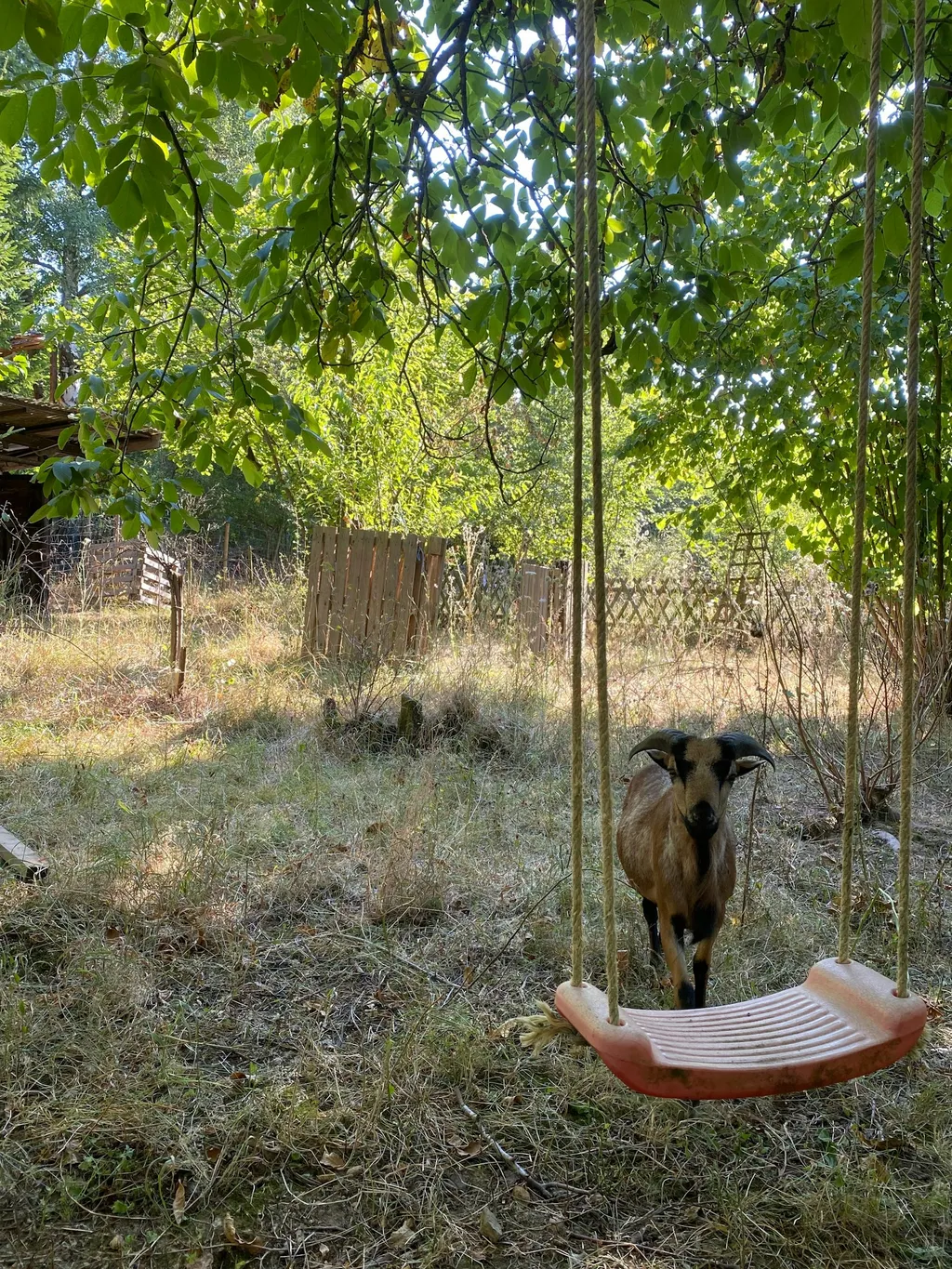 Herzen Farm - Paradies im Ahrtal