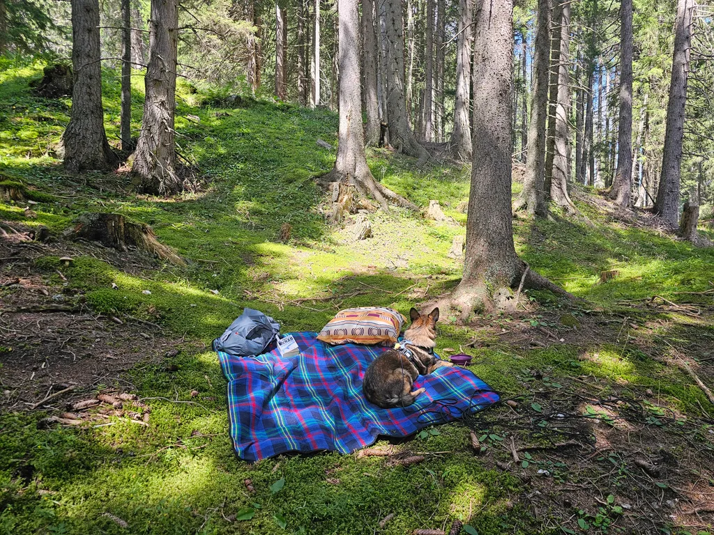 Bild von lorraine für den Spot 773