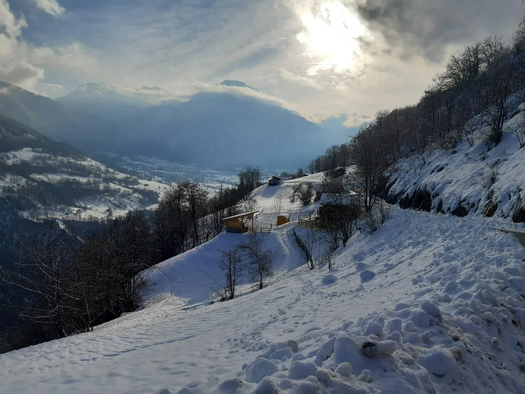 Winteranblick des Camps / der Pferdeanlage