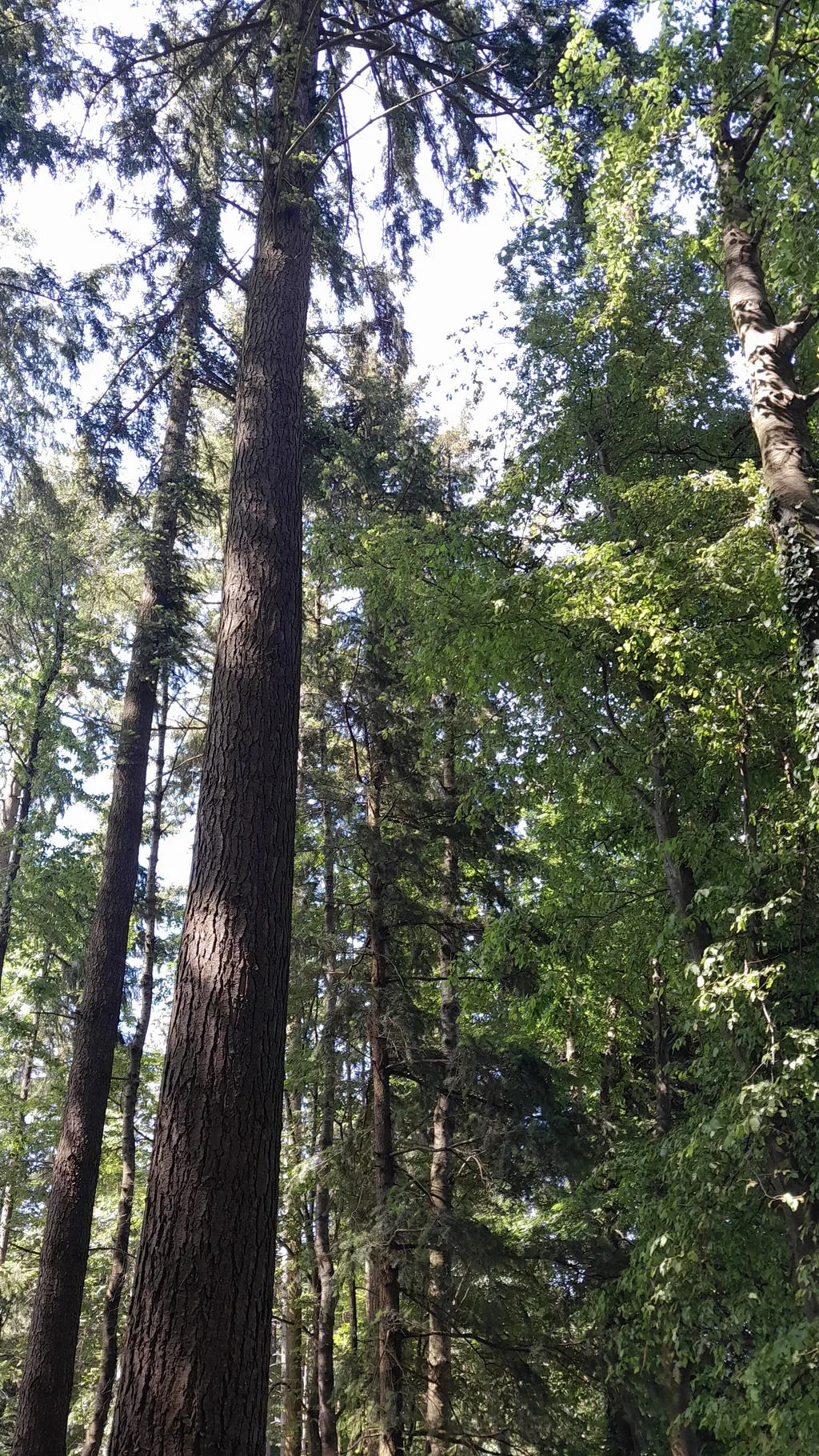 Natur poor/ Horben Blick, Platz bei Elli u Thomas