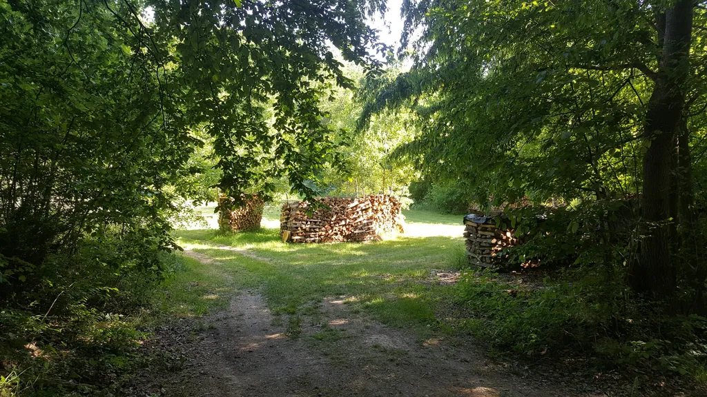 Wunderschöne Waldrandwiese