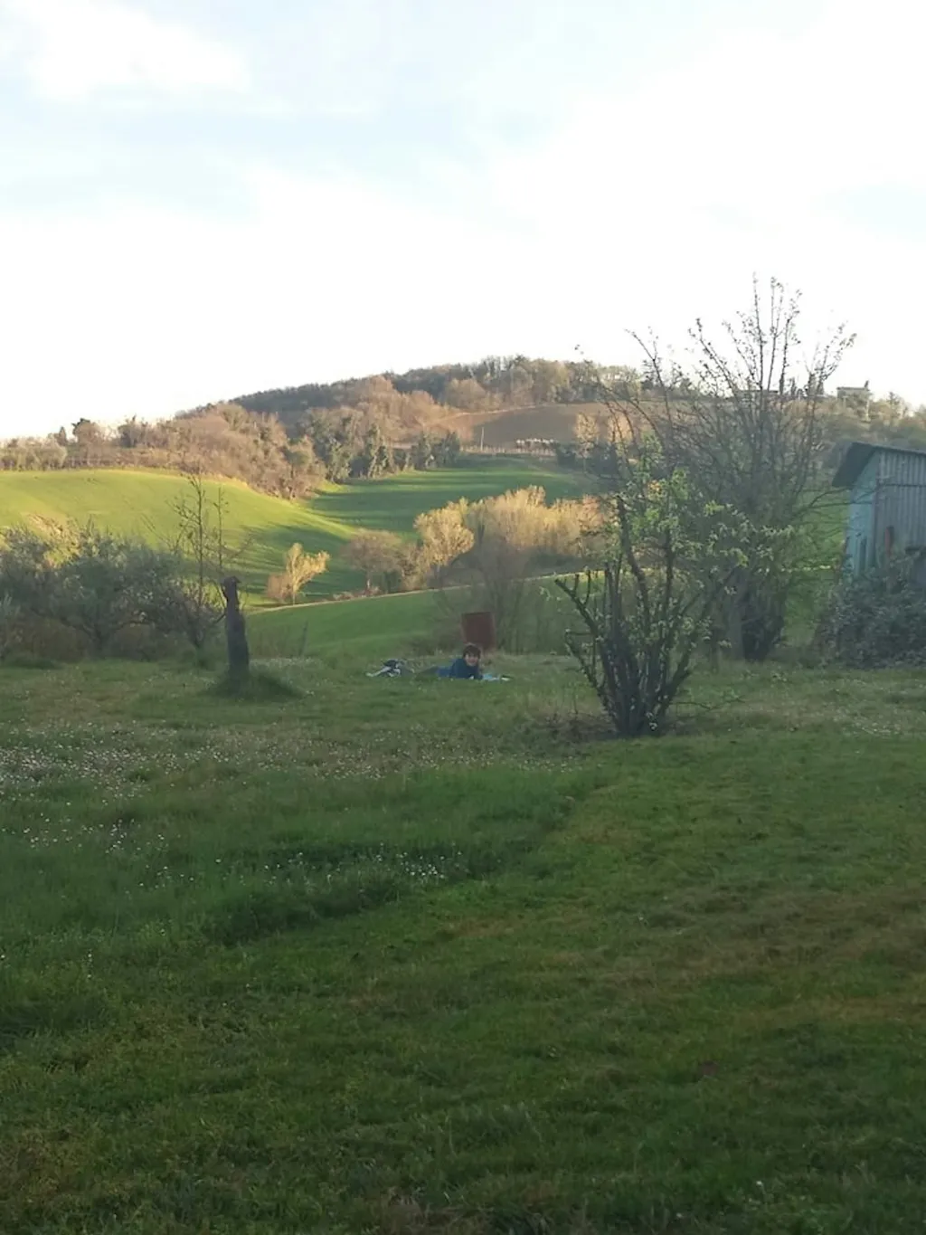 Colline brisighellesi