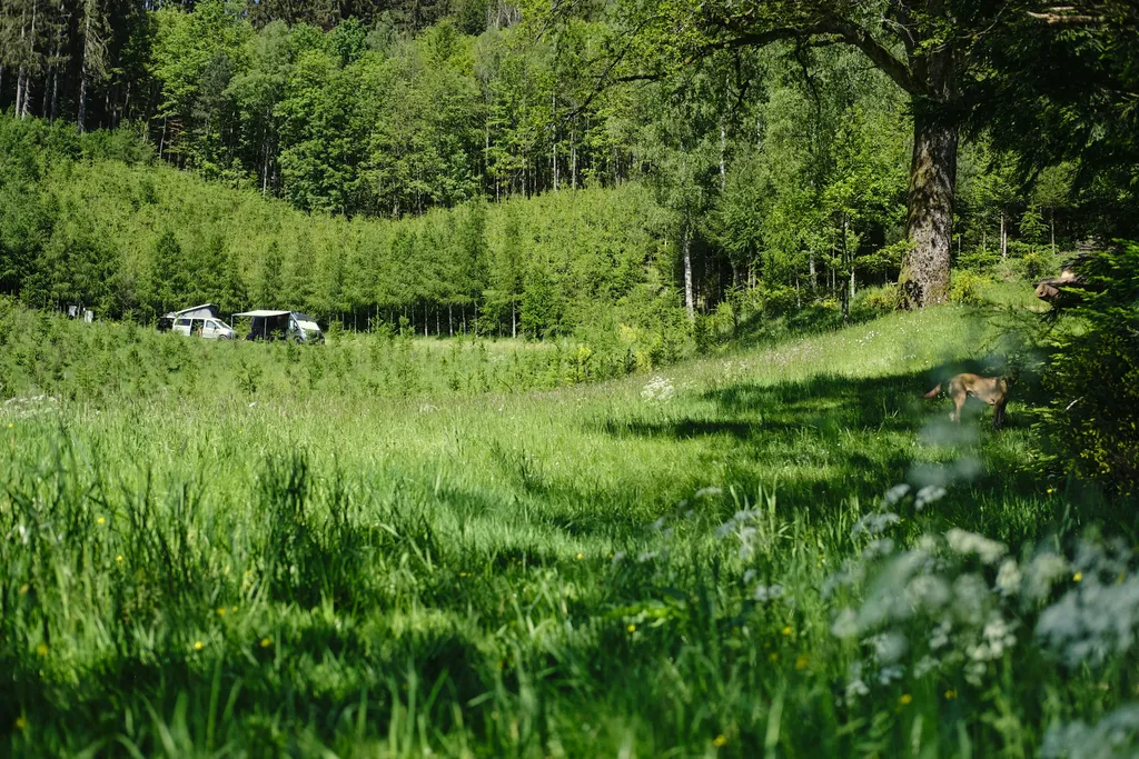 Rank - Beim Naturdenkmal 🌳Eiche🌳