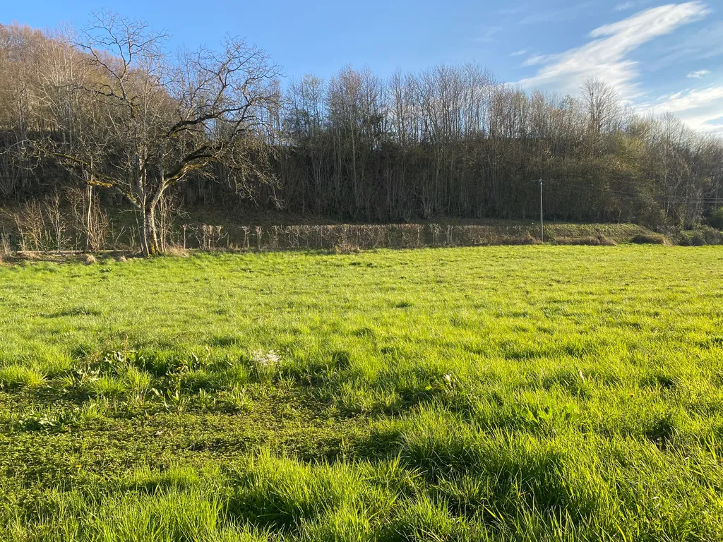 Terrain nature calme pour campeurs autonomes1000m2
