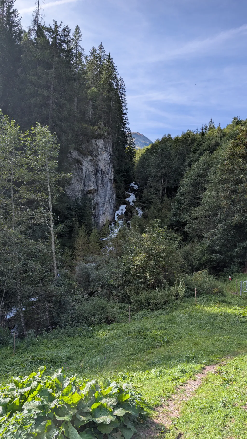 Bild von Corina für den Spot 295