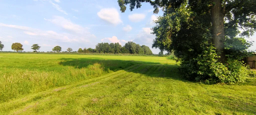 Campen im Moor nahe Krautsand