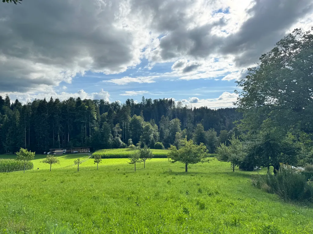 Bild von Karin für den Spot 3666