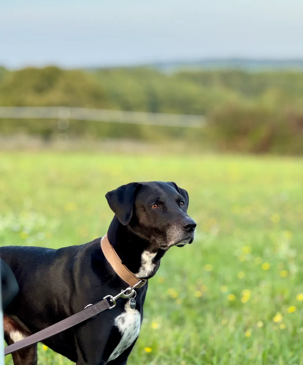 Bild von Michael für den Spot 3365