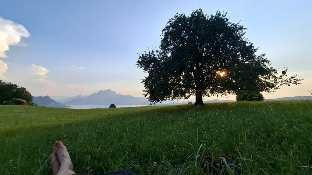 Bild von Pascal für den Spot 4914