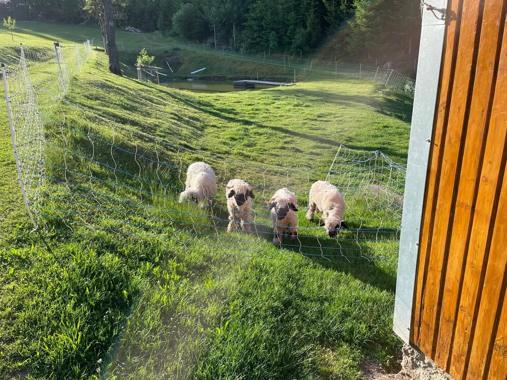 Panorama Stellplatz am Bauernhof