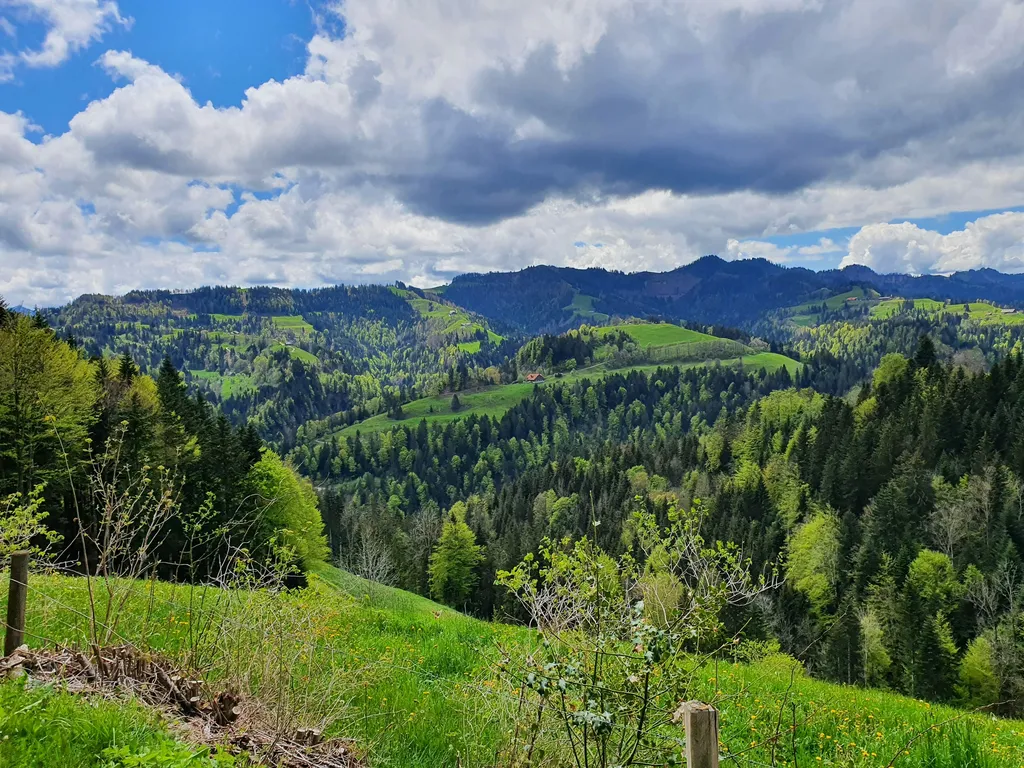 Menzberg Camp - Am Waldrand