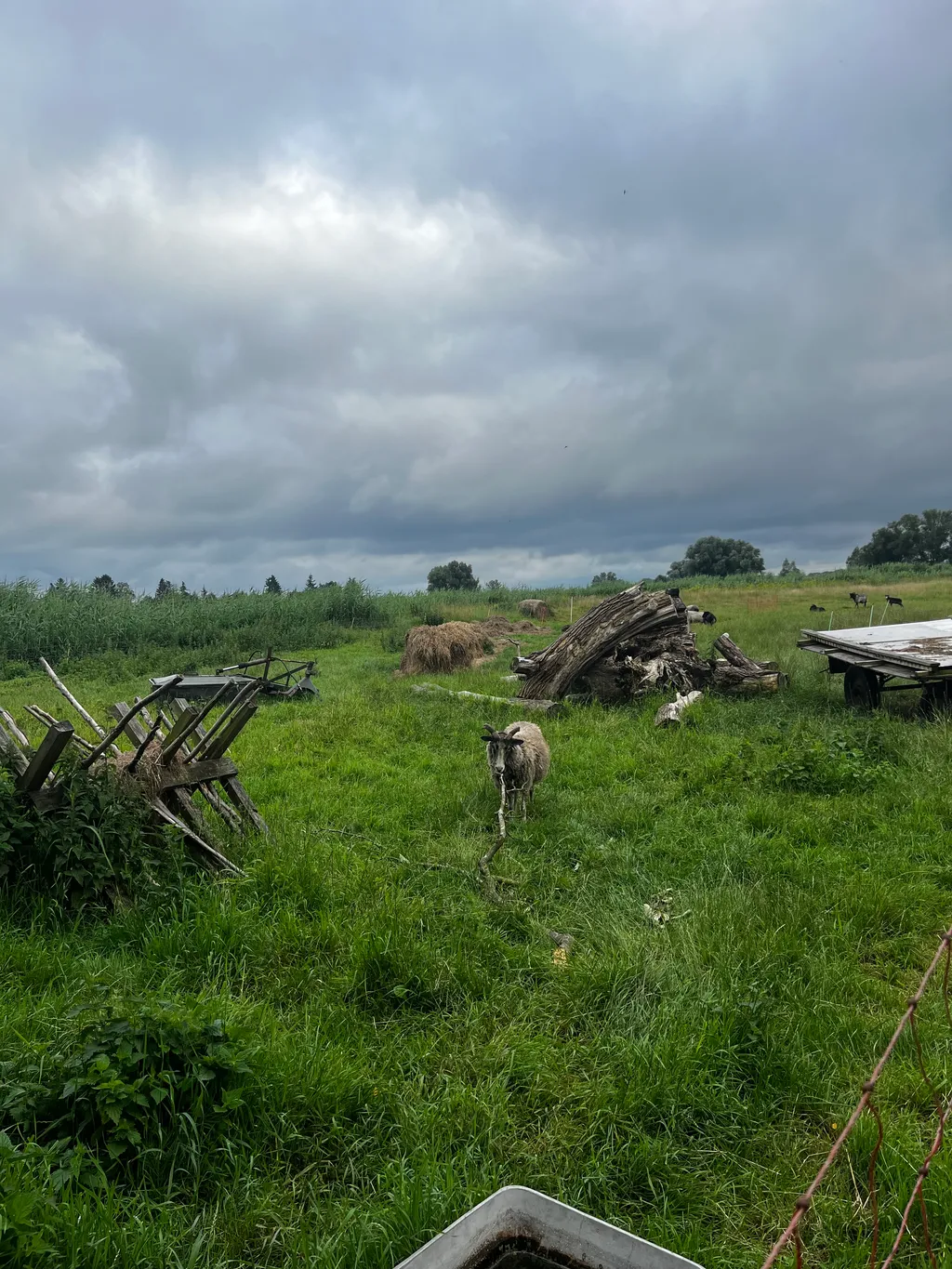 Bild von Elina für den Spot 1506