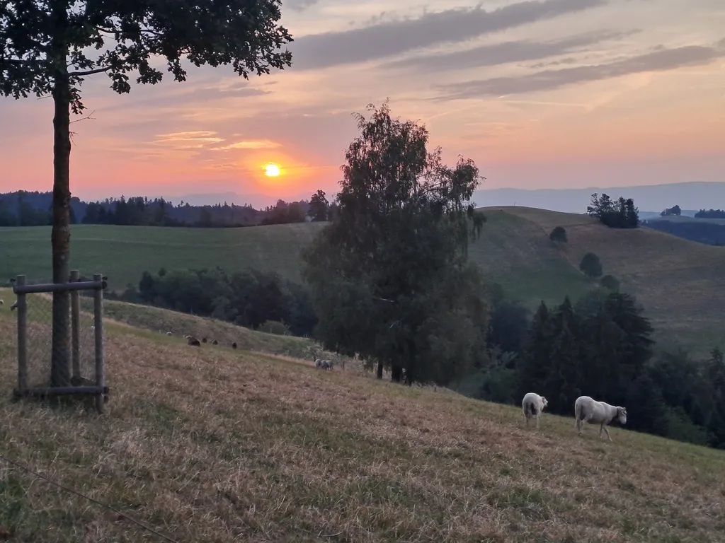 Bild von Sascha für den Spot 268