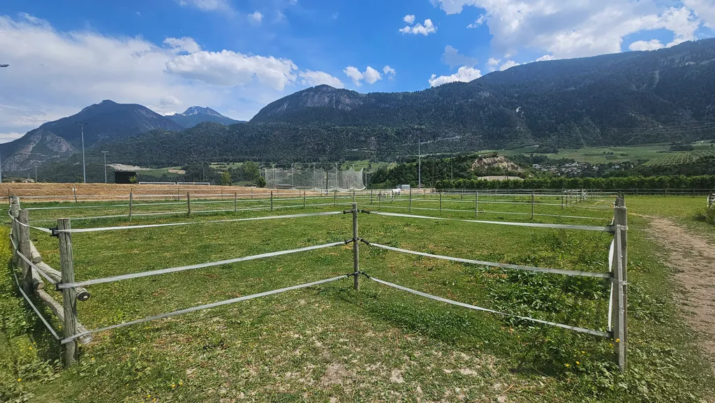 Vue sur les Alpes & chevaux