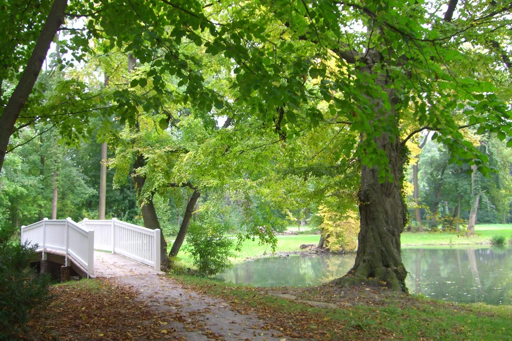 © Stadtgemeinde Bruck an der Leitha