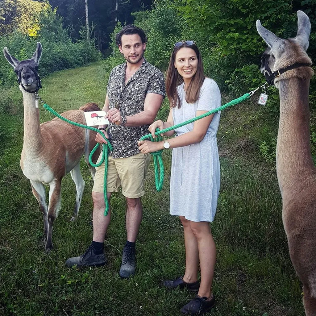 Camp - Schauinsland Lamas