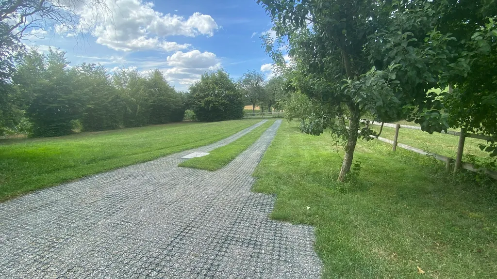 Sonnenwiese Region Bodensee/Hegau