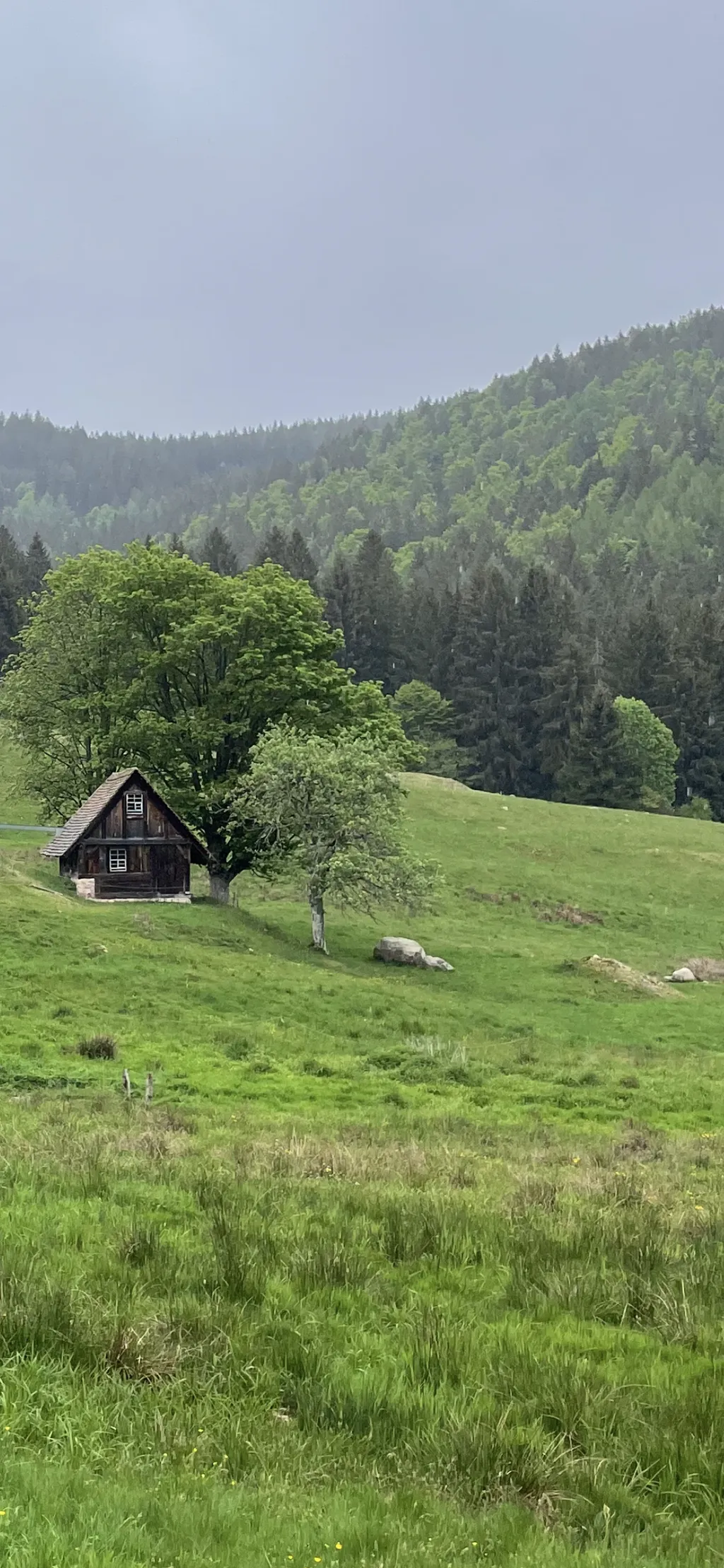 Traumwiese neben historischer Mühle